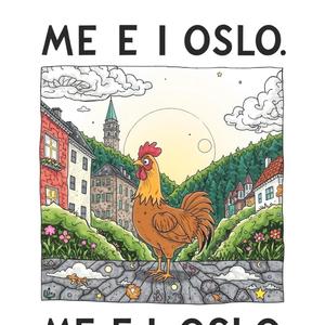 Me e i Oslo
