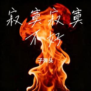 寂寞寂寞不好 (子弹头 Remix)