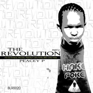 The Revolution (Dj Octopuz & Kaybee Dub Remix)