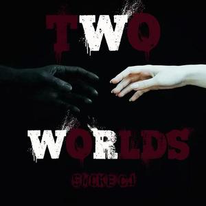 两个世界（prod by FRESH_ye）