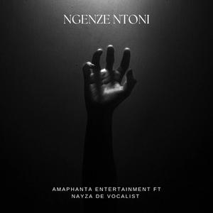 Ngenze ntoni