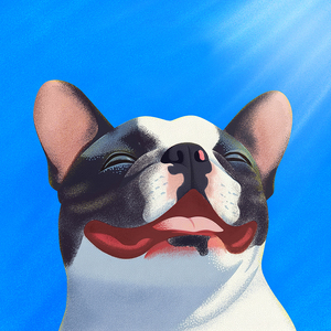 Не париться