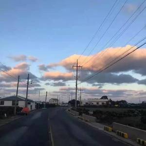 浪漫主义小黄歌
