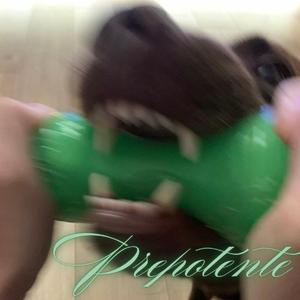 PREPOTENTE