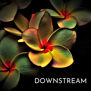 Downstream