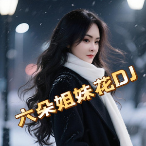 六朵姐妹花DJ