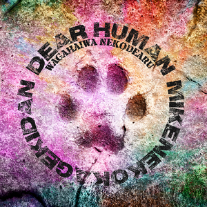 飛花落葉桜華爛漫