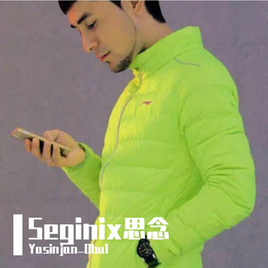 Seginix思念