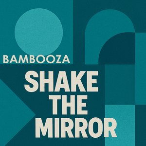 Shake The Mirror