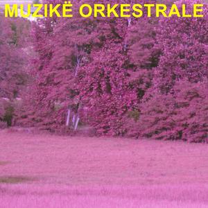 Muzikë Orkestrale