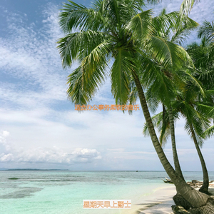 适合办公室工作抚慰的音乐