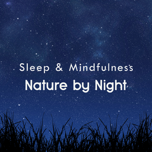 Nature Sleep and Relaxing Sounds, Pt. 107