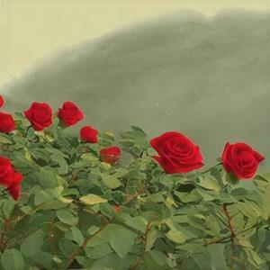 野花做了一场玫瑰花的梦 (Live)