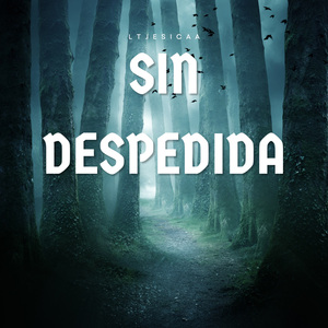 Sin Despedida