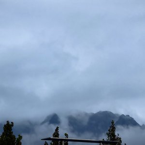 《真正的少年》