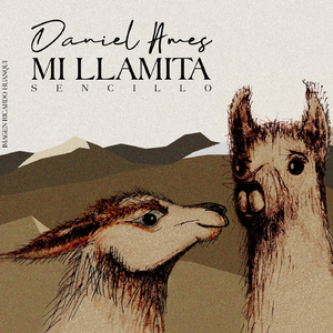 Mi Llamita