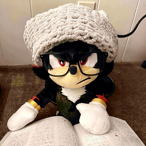 我想做你的眼睛