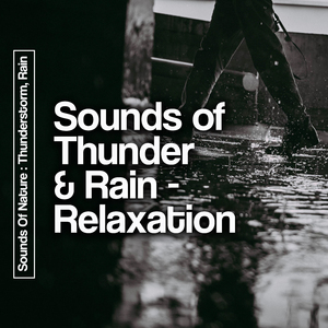 Another Day of Showers