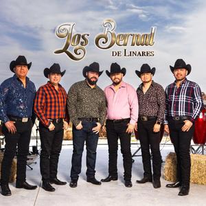 Te he Borrado (feat. Pepe Linares) (En vivo)