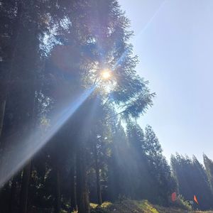 one(Prod by MORROW）