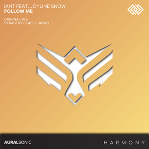 Follow Me (Original Mix)
