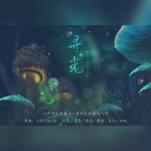 寻光—— 一十四洲原著《小蘑菇》填翻同人歌（翻自 丁当）