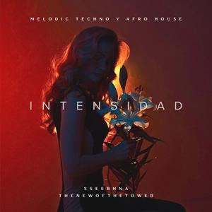 Intensidad (Special Version THENEWOFTHETOWER)