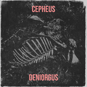 Cepheus