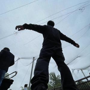 雪花飘飘，漫天飞舞