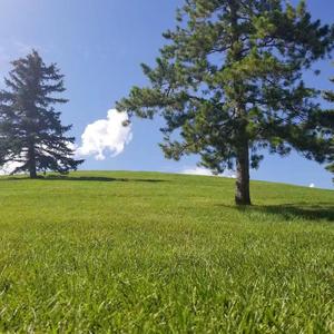 爱要怎么说出口（cover赵传）