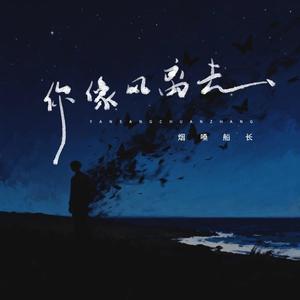 你像风离去（翻自 张艺迈）