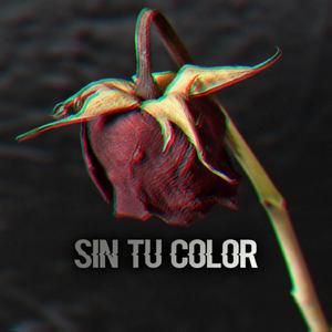 Sin Tú Color