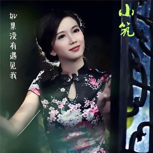如果没有遇见我
