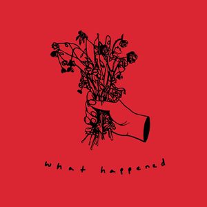 What Happened