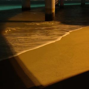 达尔文（片段）