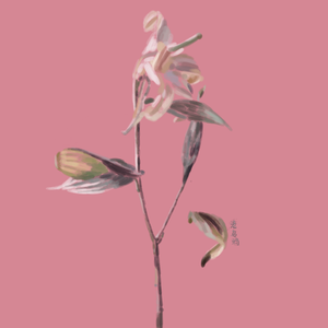 顺便怀念一下（Prod By Jaming Beats）