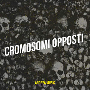 Cromosomi opposti
