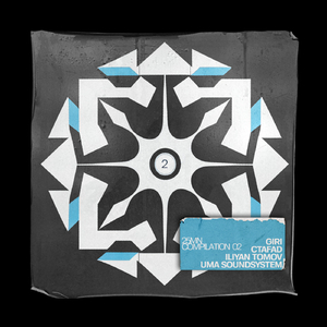 Individuo Collettivo