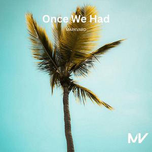 Once We Had