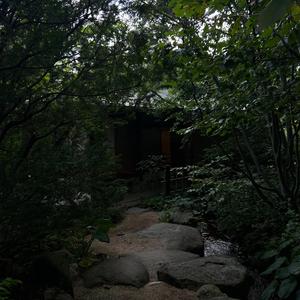 pull up (feat. Remymane)