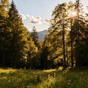 The_Light_Within