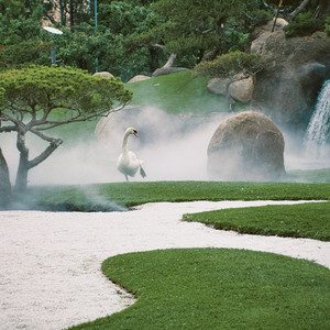 ถ่านไฟเก่า(Cover)