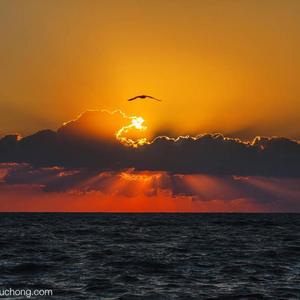 Allora ci vediamo（prod by老森Sen/森澈Sen)