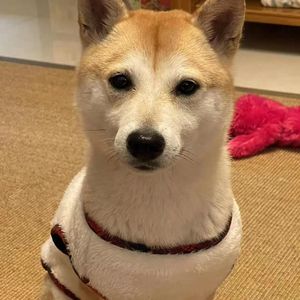 LOVE（Prod by BECU BEATZ）