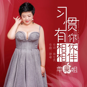 习惯有你相依相伴 (伴奏)