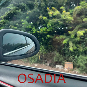 Osadia