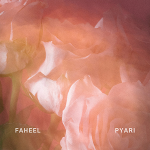 Pyari