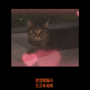 致姗姗来迟的你