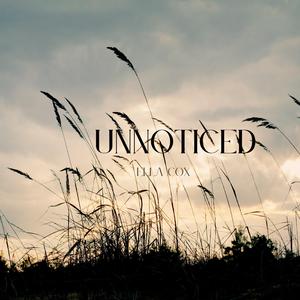 Unnoticed