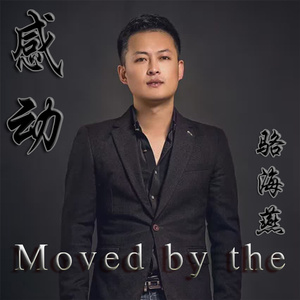 我想陪你看月亮